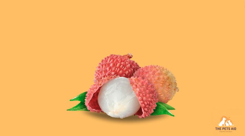 Giving%20Lychees%20to%20a%20Dog